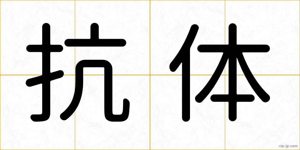 抗体の画像