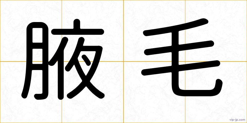 腋毛の画像