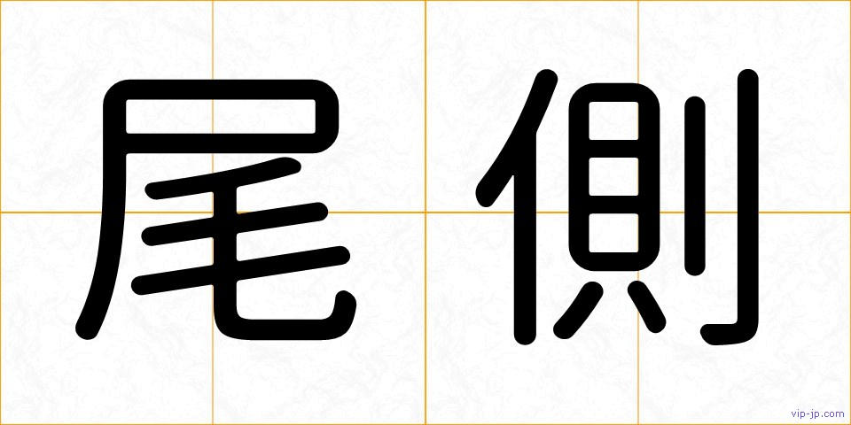 尾側の画像