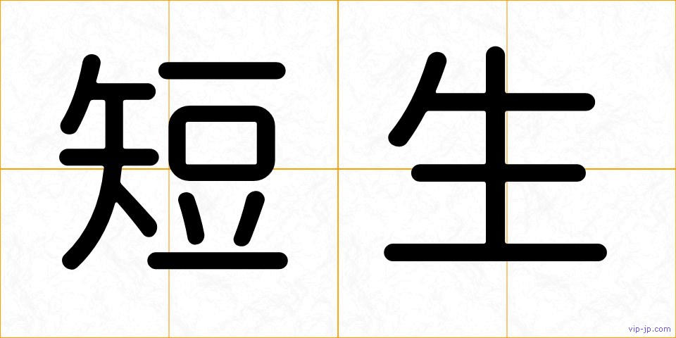 短生の画像