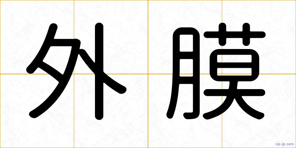 外膜の画像