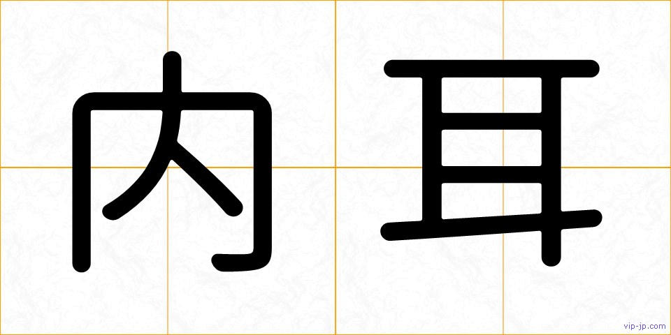 内耳の画像