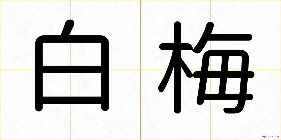 白梅の画像