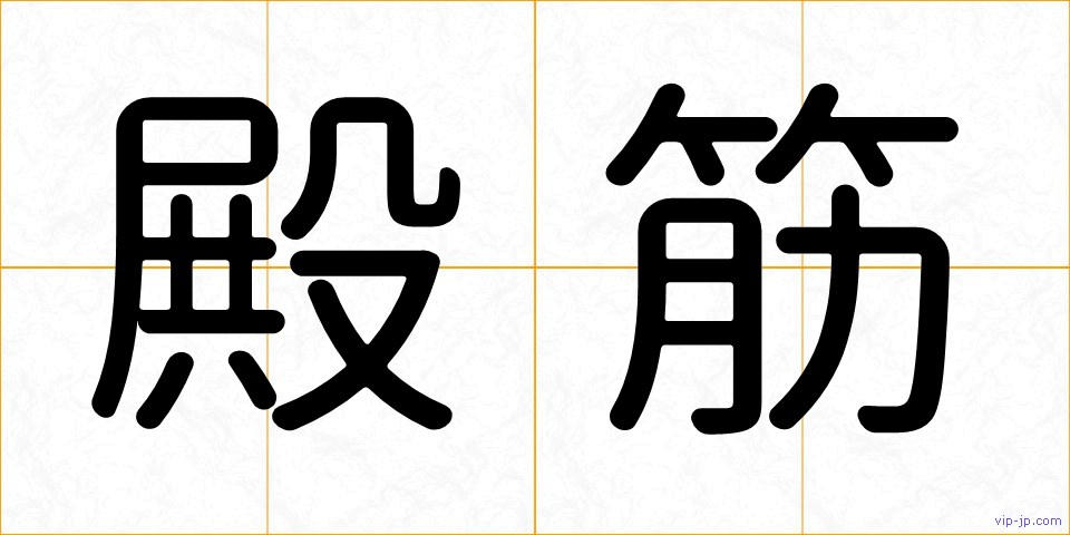殿筋の画像