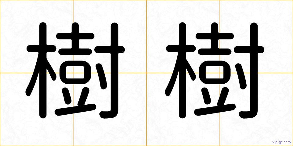 樹樹の画像