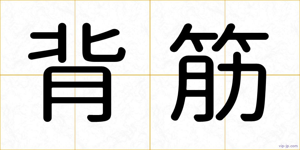 背筋の画像