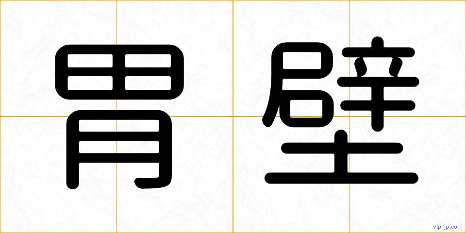 胃壁の画像