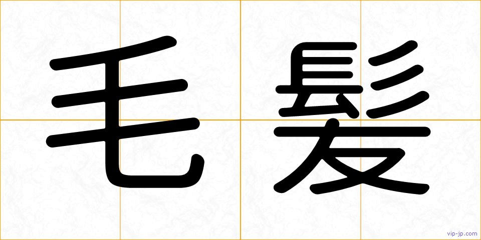 毛髪の画像