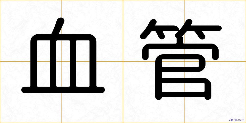 血管の画像