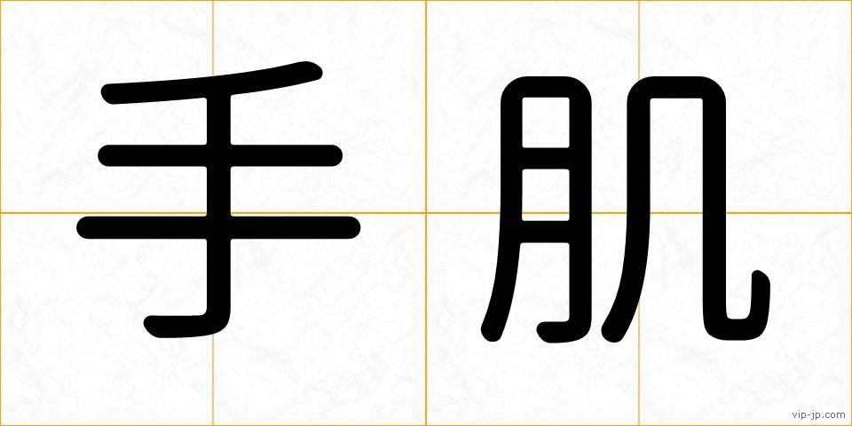 手肌の画像