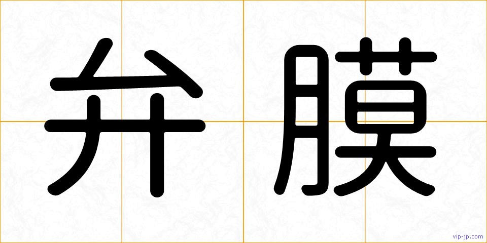 弁膜の画像