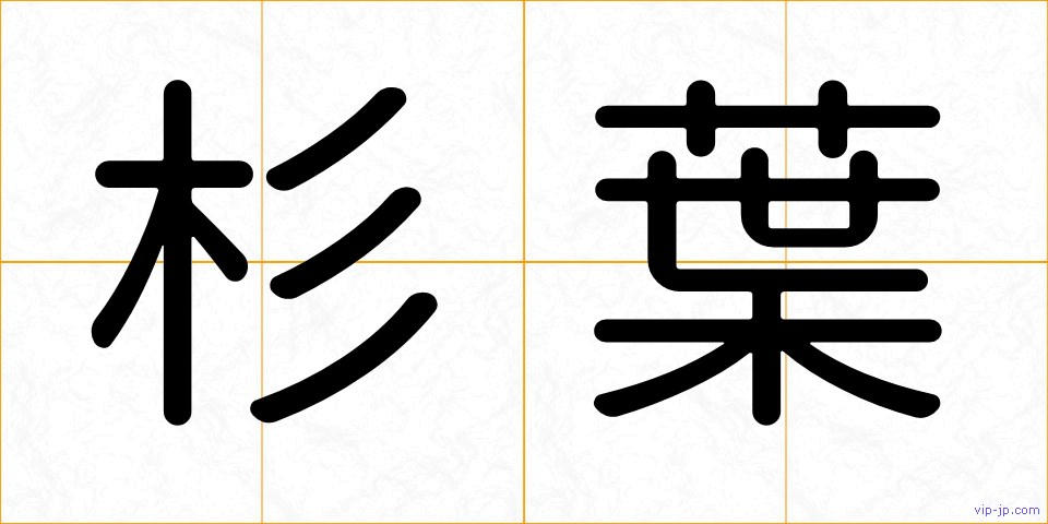 杉葉の画像