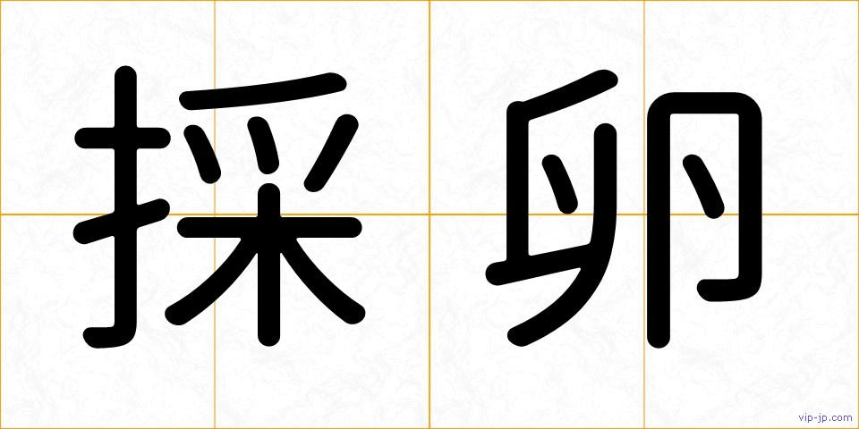 採卵の画像