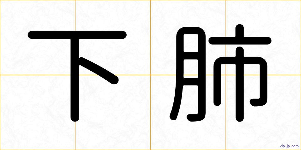 下肺の画像