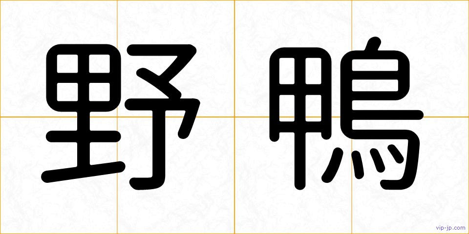野鴨の画像