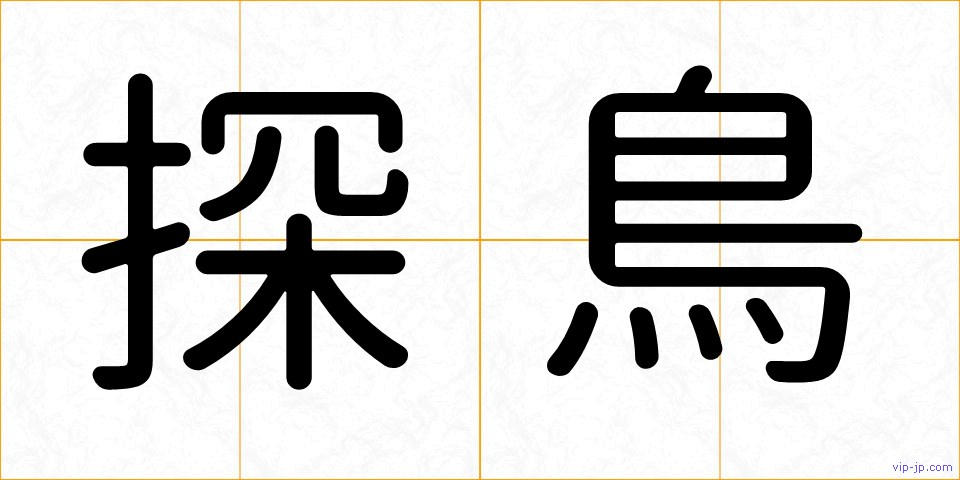 探鳥の画像