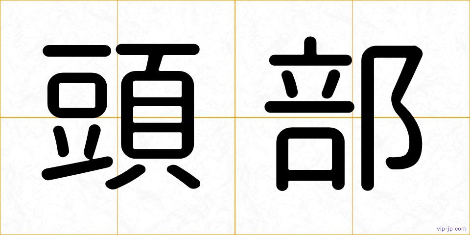 頭部の画像