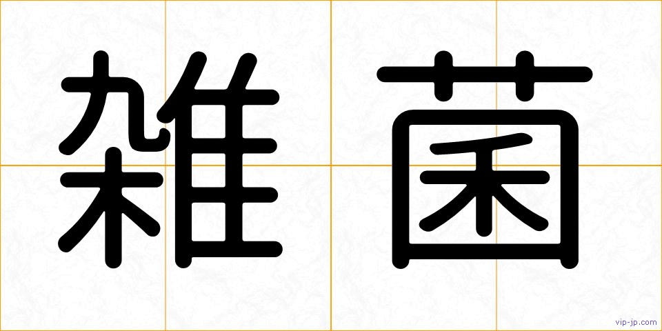 雑菌の画像
