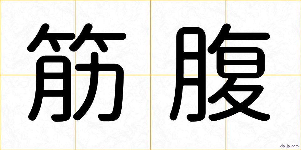 筋腹の画像