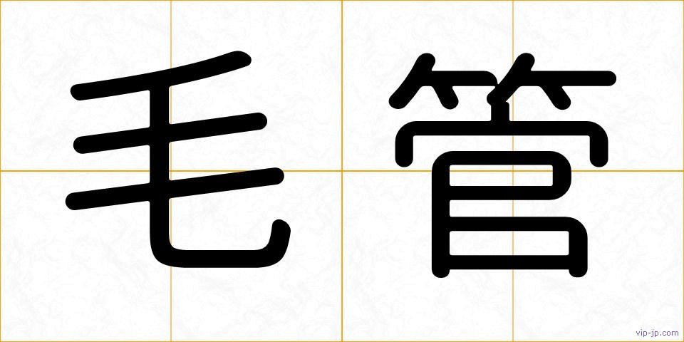毛管の画像