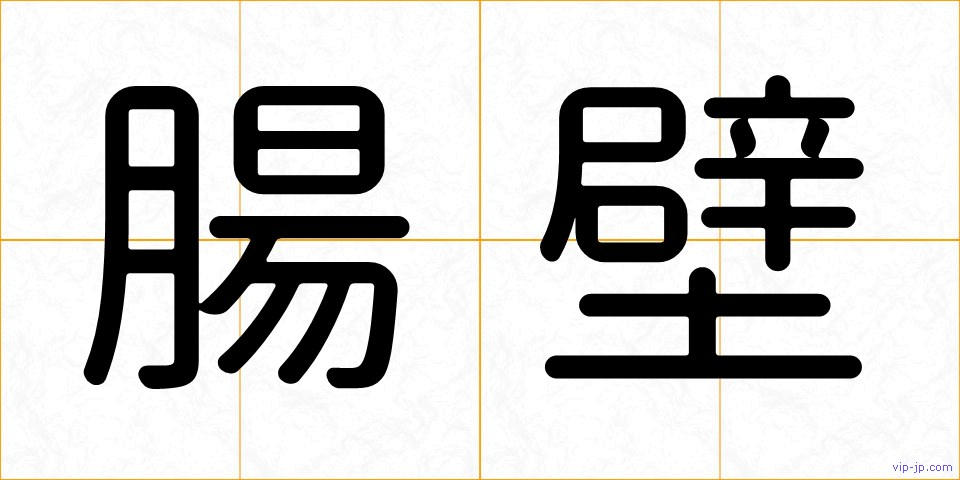 腸壁の画像
