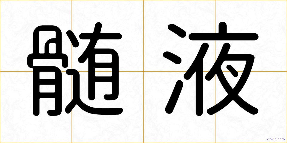 髄液の画像