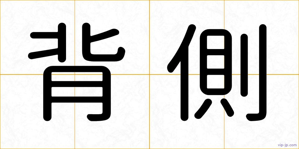 背側の画像