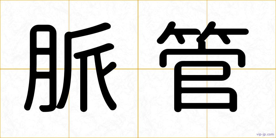 脈管の画像