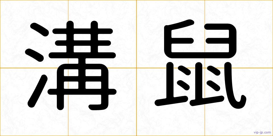 溝鼠の画像