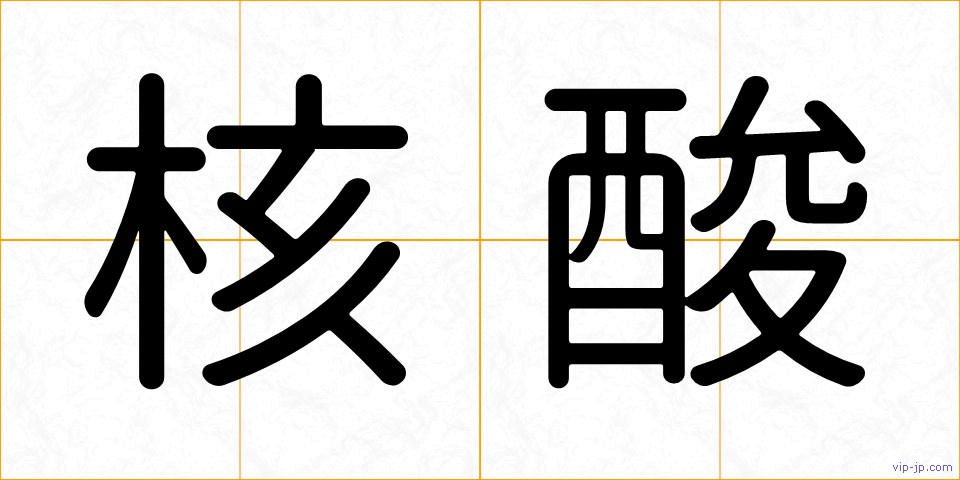 核酸の画像