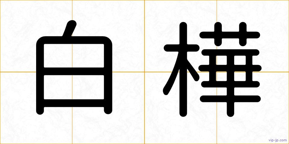 白樺の画像
