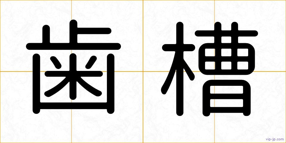 歯槽の画像