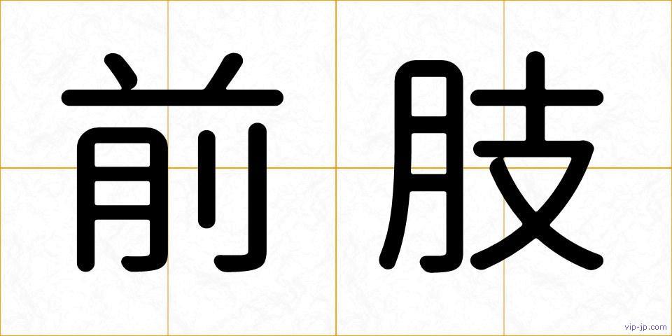 前肢の画像