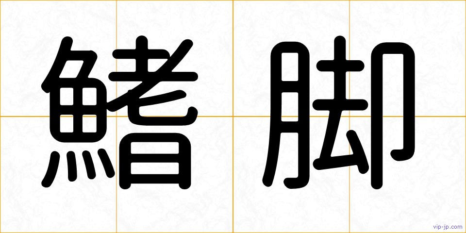 鰭脚の画像