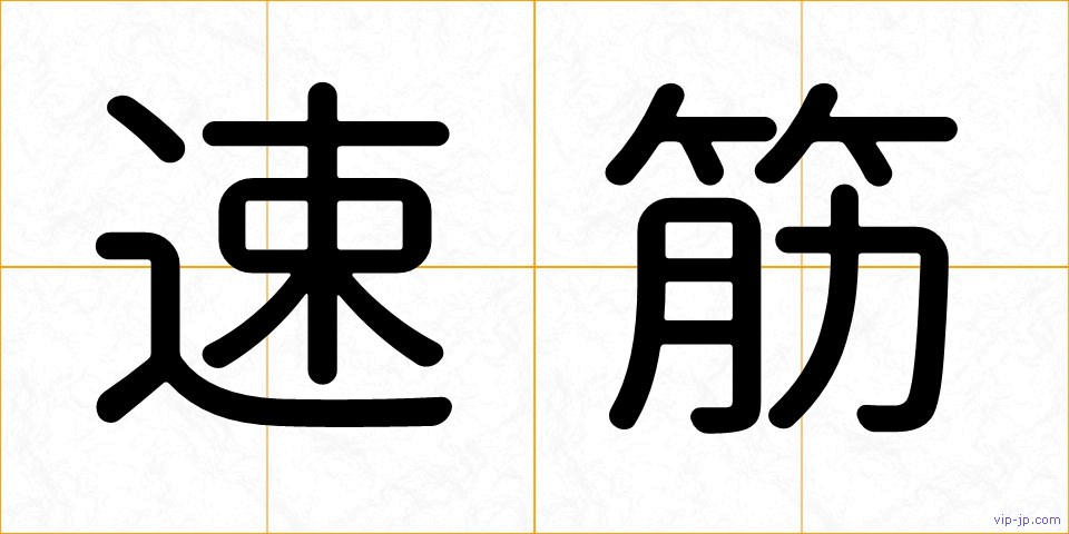 速筋の画像