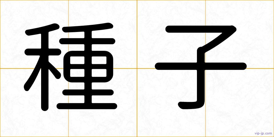 種子の画像