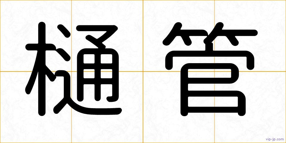 樋管の画像