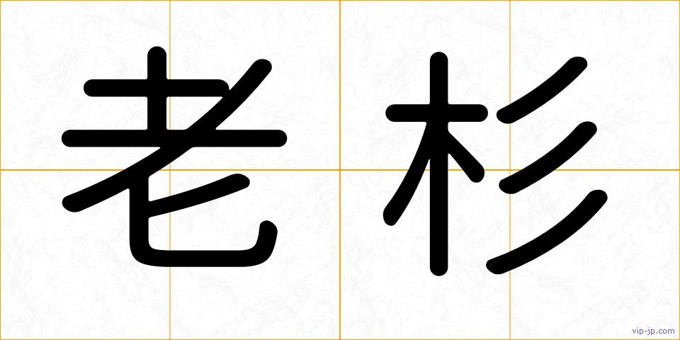 老杉の画像