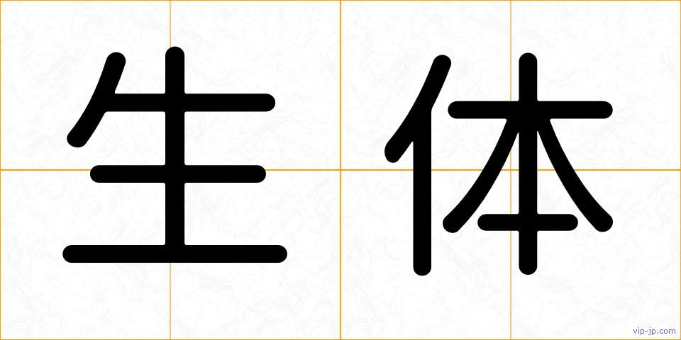 生体の画像