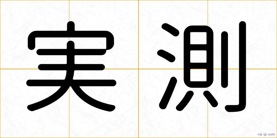 実測の画像