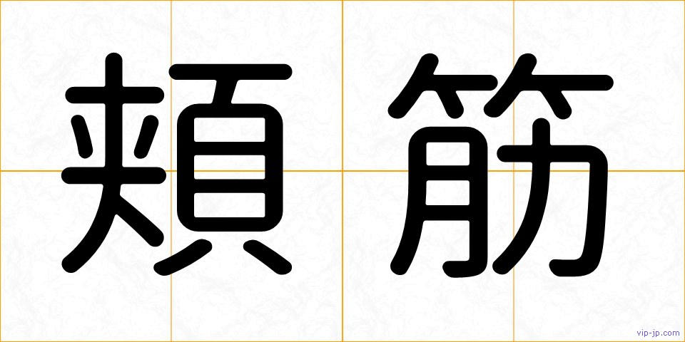 頬筋の画像