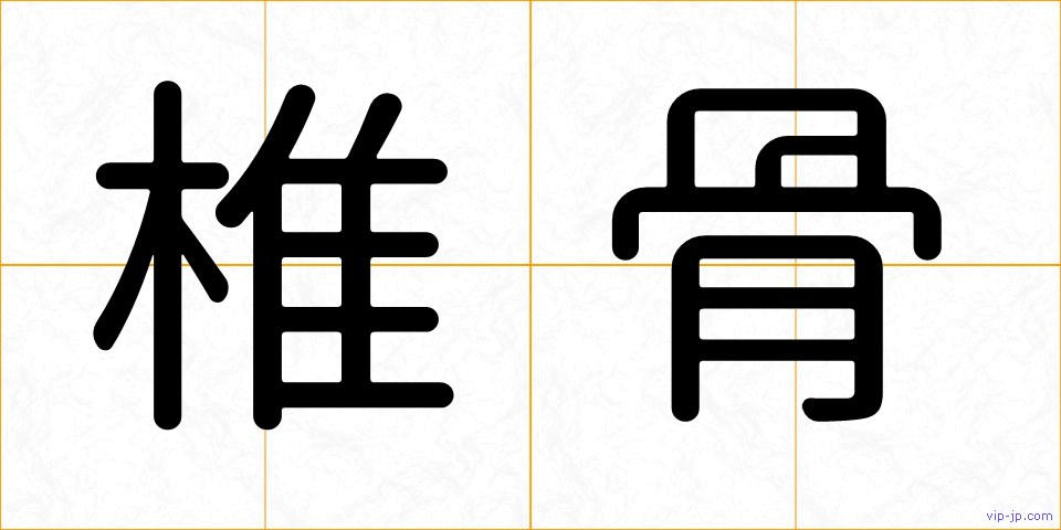 椎骨の画像