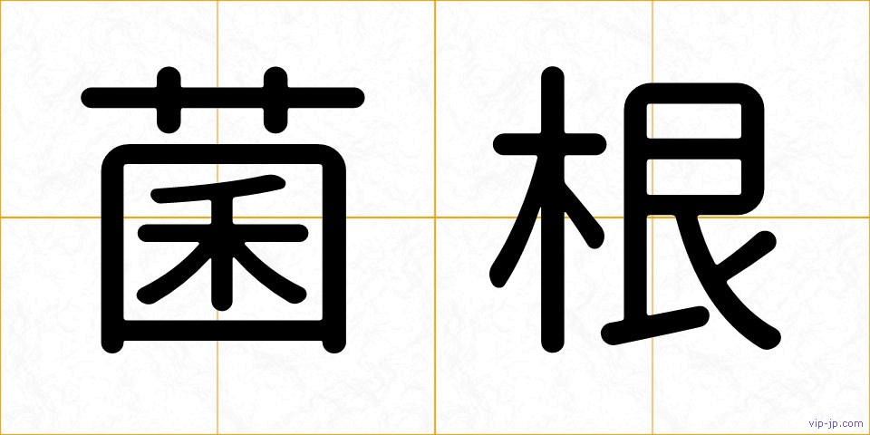 菌根の画像