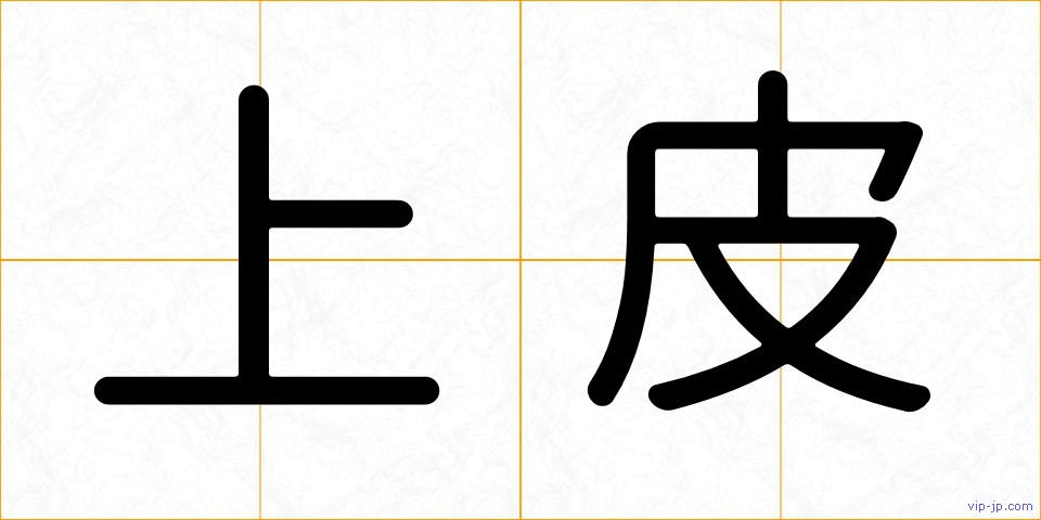 上皮の画像