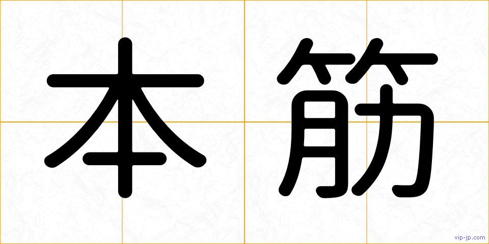 本筋の画像