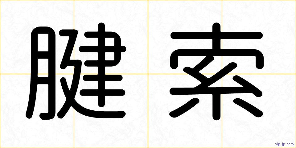 腱索の画像