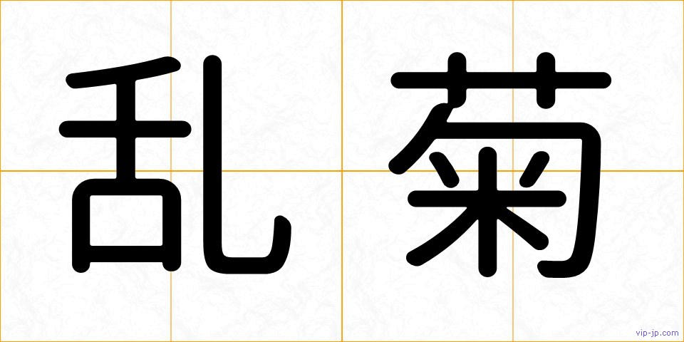 乱菊の画像