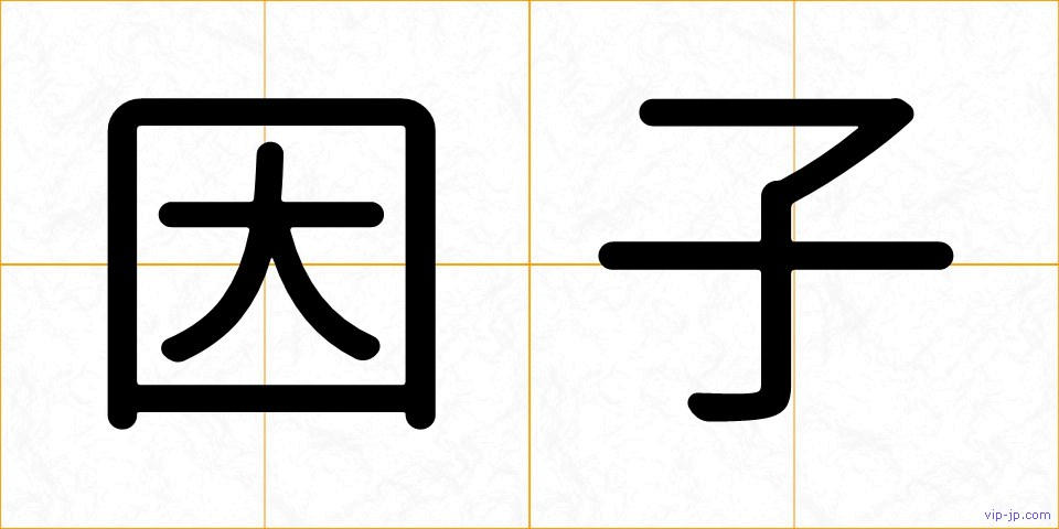 因子の画像