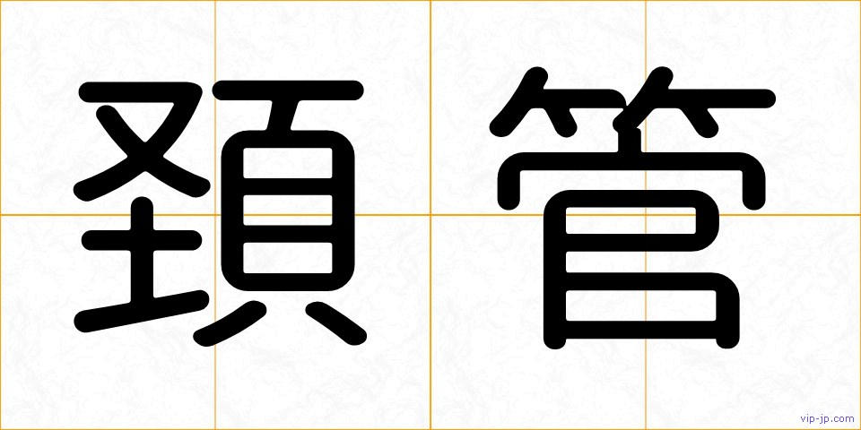 頚管の画像