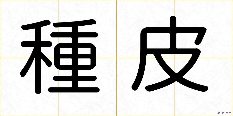 種皮の画像